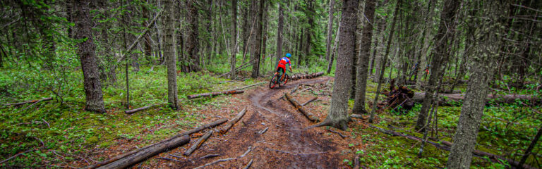 Exploring Canmore’s Best Mountain Biking Trails